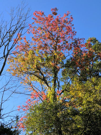 State Park «Goosepond Mountain State Park», reviews and photos, 1198 New York 17M, Chester, NY 10918, USA