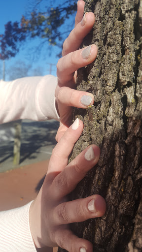 Beauty Salon «Bangz Salon», reviews and photos, 907 Caroline St, Fredericksburg, VA 22401, USA