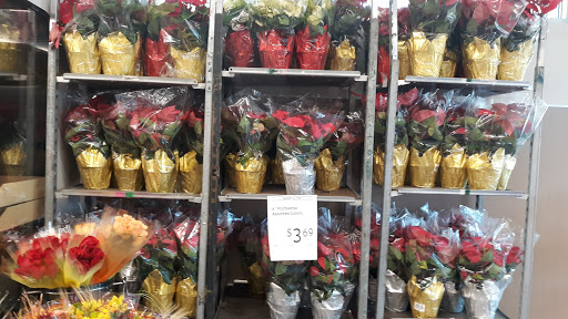 Supermarket «ALDI», reviews and photos, 1702 Blanding Blvd, Middleburg, FL 32068, USA