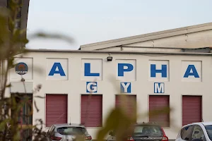 Alpha Gym 2.0 image