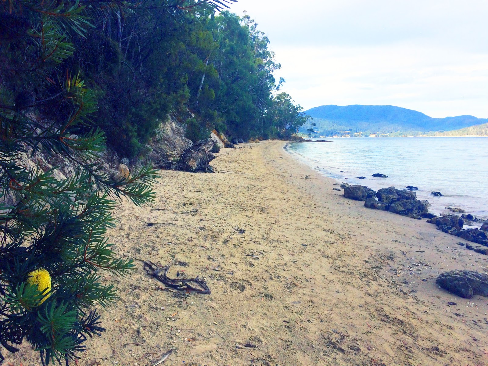 Drip Beach的照片 带有碧绿色纯水表面