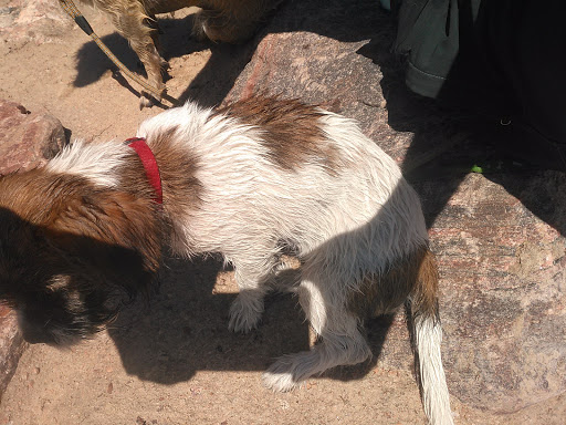 Banquet Hall «Union Depot», reviews and photos, 132 W B St, Pueblo, CO 81003, USA