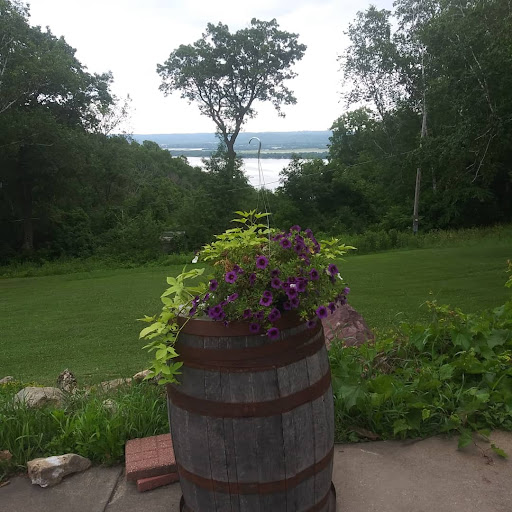 Vineyard «River View Vineyard & Winery LLC», reviews and photos, 32882 County Rd 1, La Crescent, MN 55947, USA