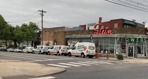 Florist «Stein Your Florist Co.», reviews and photos, 7059 Frankford Ave, Philadelphia, PA 19135, USA