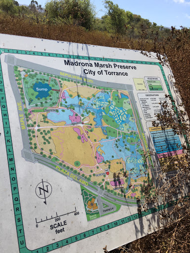 Nature Preserve «Madrona Marsh», reviews and photos, 3201 Plaza del Amo, Torrance, CA 90503, USA