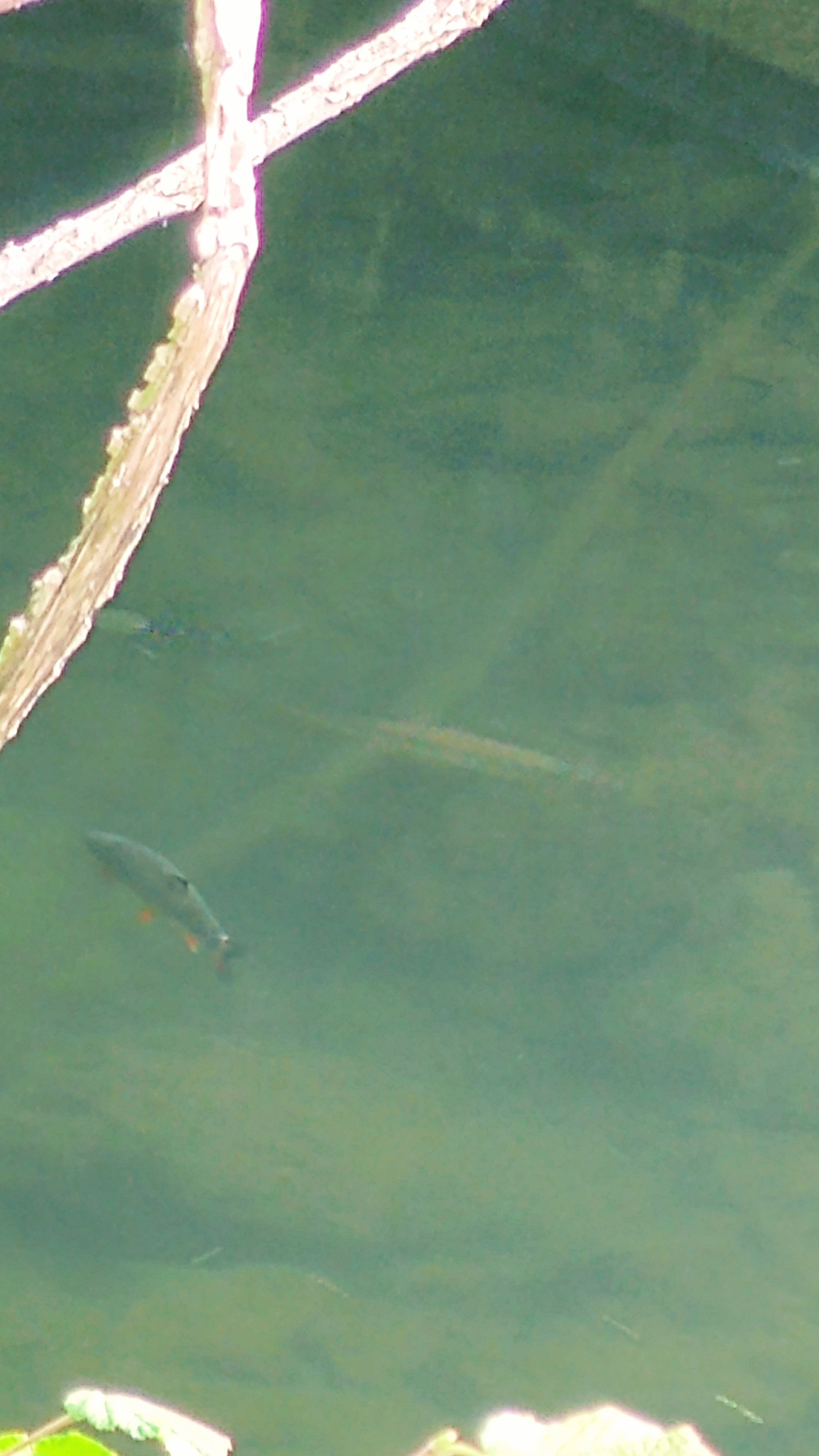 Photo n° 4 de l'avis de Polski.l fait le 02/09/2020 à 14:34