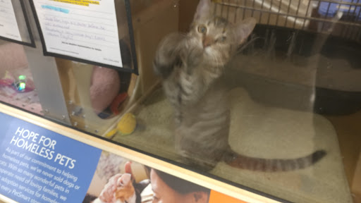 Pet Supply Store «PetSmart», reviews and photos, 26532 Towne Centre Dr, Foothill Ranch, CA 92610, USA