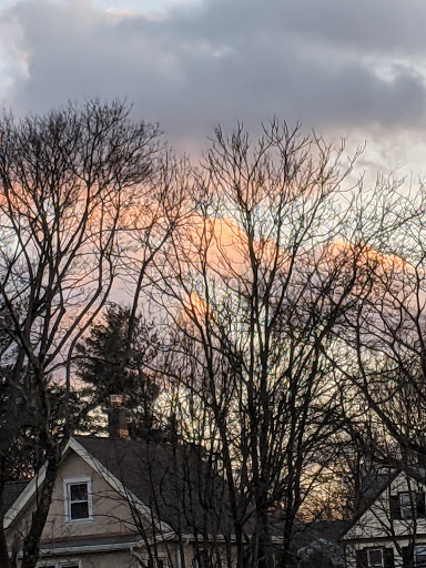 Supermarket «The Harrison Market», reviews and photos, 355 Halstead Ave, Harrison, NY 10528, USA