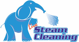 Live Steam Cleaning