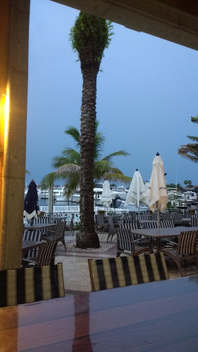 Convention Center «Bradenton Area Convention Center», reviews and photos, 1 Haben Blvd, Palmetto, FL 34221, USA