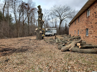 F&K's tree service and stump removal LLC.