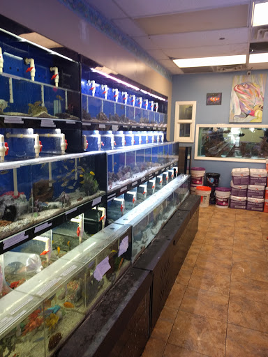 Pet Store «Aquaridise», reviews and photos, 415 NJ-18, East Brunswick, NJ 08816, USA