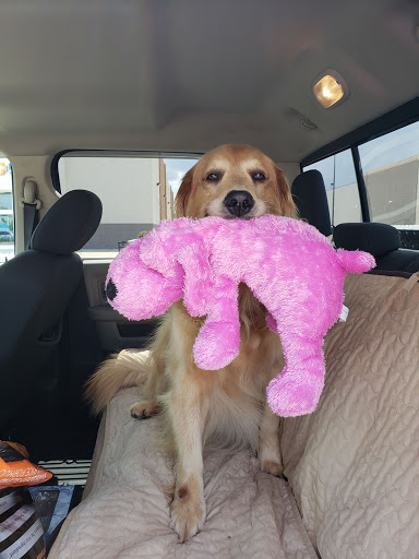 Pet Supply Store «PetSmart», reviews and photos, 290 Town Center Pkwy, Slidell, LA 70458, USA