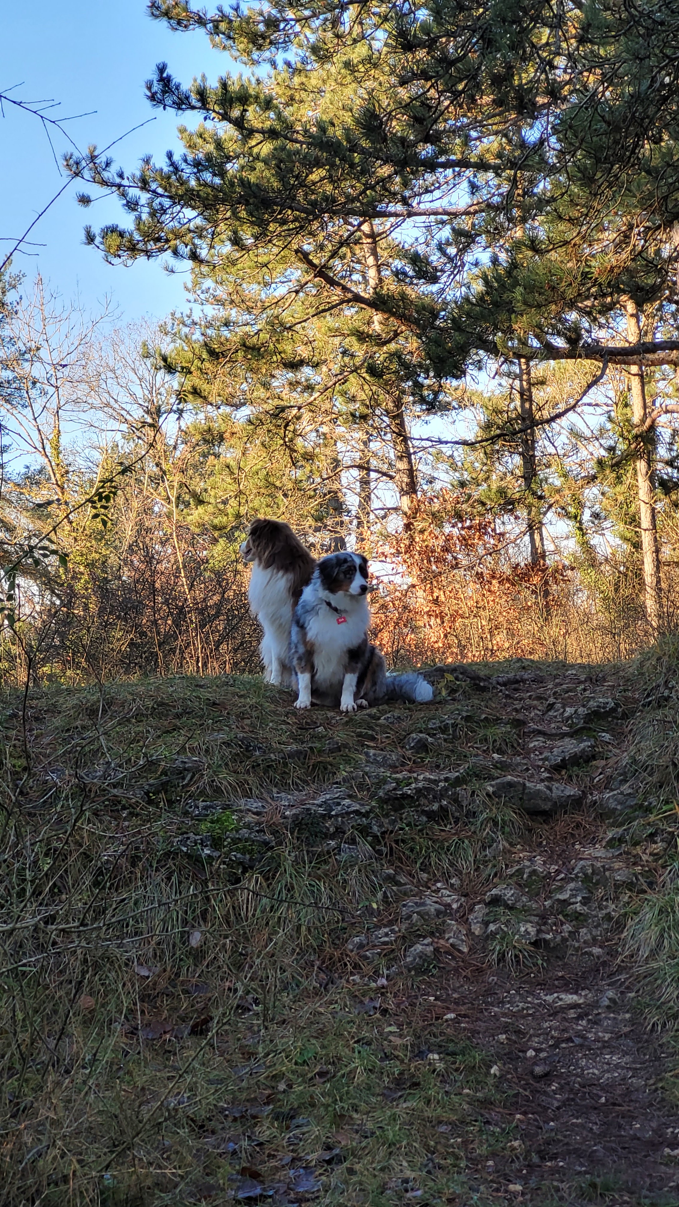 Photo n° 4 de l'avis de Fabienne.r fait le 29/12/2023 à 11:31