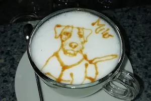 Caffe Argentina image