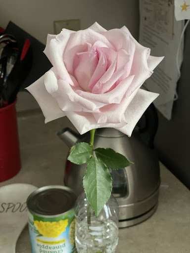 Florist «Malone’s Flower Shop», reviews and photos, 17 W Pike St, Canonsburg, PA 15317, USA