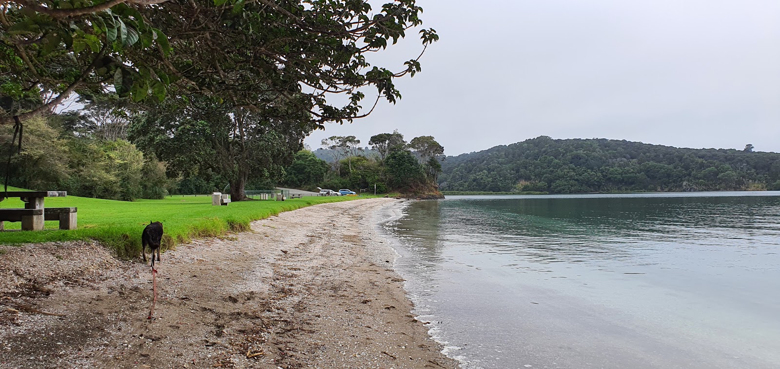 Photo of Sandy Beach with very clean level of cleanliness