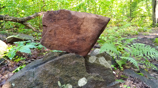 Community Center «Kaplen JCC on the Palisades», reviews and photos, 411 E Clinton Ave, Tenafly, NJ 07670, USA