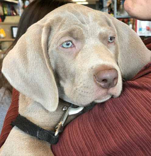 Pet Supply Store «Pet Barn», reviews and photos, 8191 Maple Lawn Blvd, Fulton, MD 20759, USA