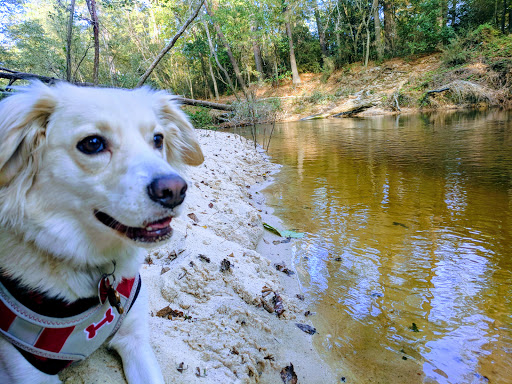 Park «Lake Houston Wilderness Park», reviews and photos, 25840 FM 1485, New Caney, TX 77357, USA