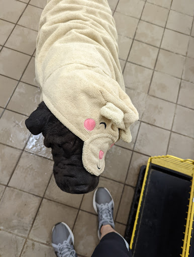 Pet Supply Store «Pet Supplies Plus», reviews and photos, 585 Moseley Rd, Fairport, NY 14450, USA