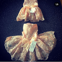 Pets on Brady - Photo 5 - Car repair in Milwaukee, WI, Milwaukee