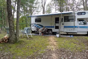 Mossy Point Campground image