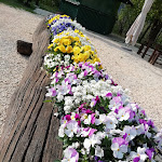 Photo n°2 de l'avis de Mariarosa.e fait le 26/04/2021 à 15:38 sur le  Osteria La Luna e i Falò à Polcenigo