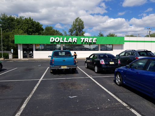 Dollar Store «Dollar Tree», reviews and photos, 508 S White Horse Pike, Somerdale, NJ 08083, USA