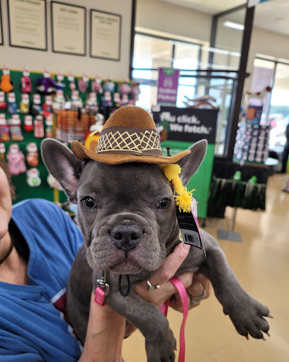 Pet Supply Store «Pet Supplies Plus», reviews and photos, 1368 N Galena Ave, Dixon, IL 61021, USA