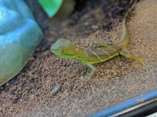 Pet Supply Store «Petco Animal Supplies», reviews and photos, 1574 N Dupont Hwy #300, Dover, DE 19901, USA