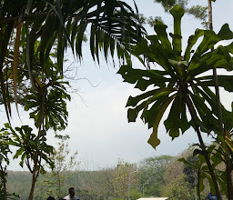 Majapahit Training Center photo