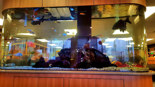 Toyota Dealer «Maplewood Toyota», reviews and photos, 2873 Maplewood Dr, Maplewood, MN 55109, USA