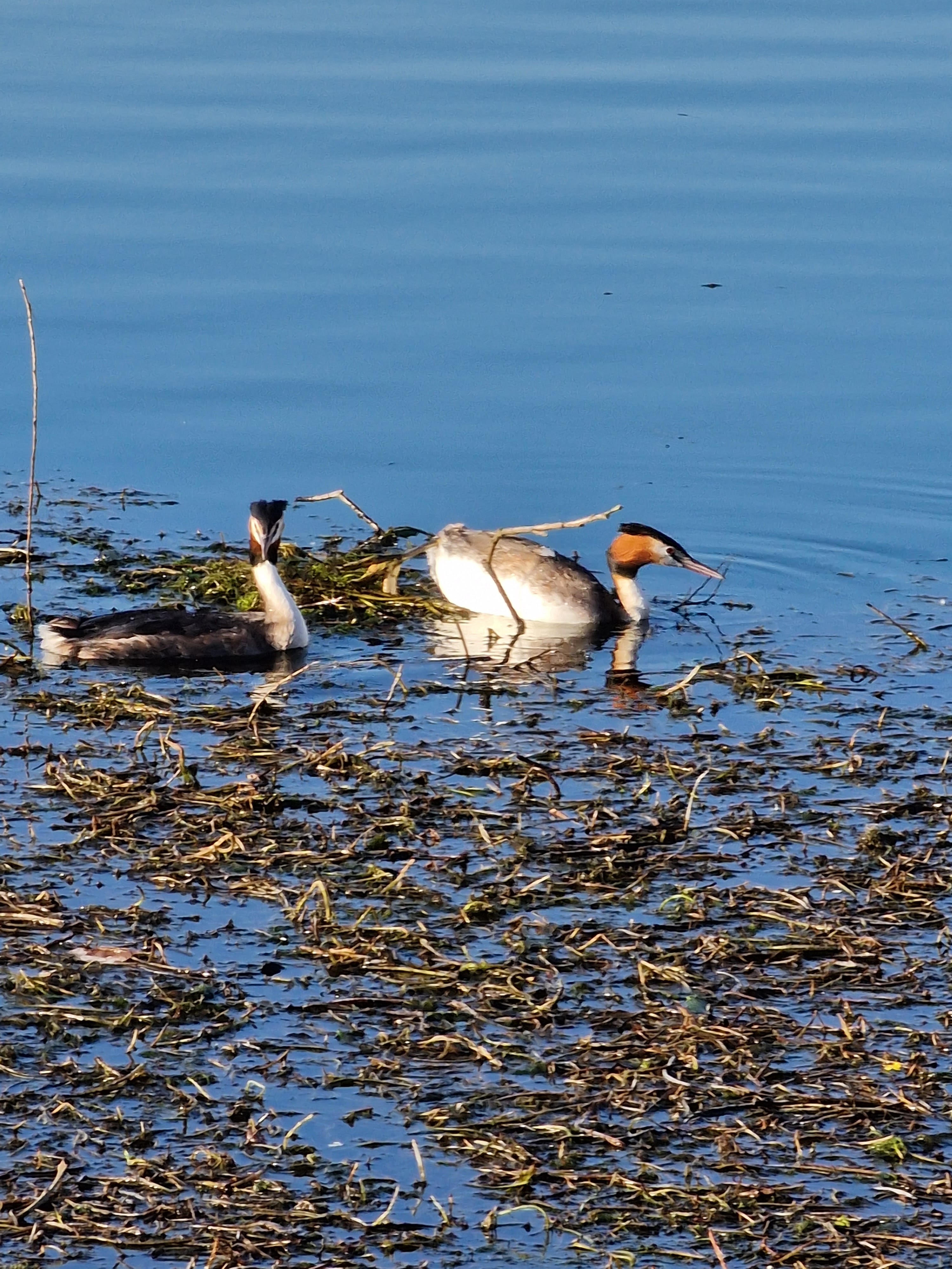 Photo n° 7 de l'avis de Pascal.a fait le 22/02/2023 à 13:47
