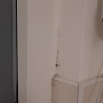 Photo n°1 de l'avis de Paulo.o fait le 12/12/2021 à 12:33 sur le  Dreams Bielefeld à Bielefeld