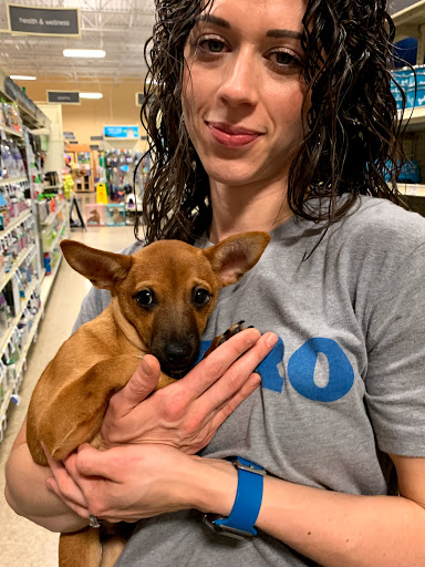 Pet Supply Store «PetSmart», reviews and photos, 3335 Cobb Pkwy NW #400, Acworth, GA 30101, USA