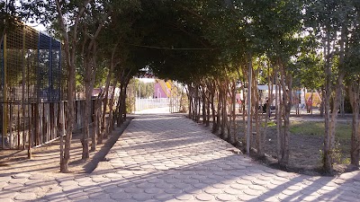 Photos of Animals Shatt al-Arab garden