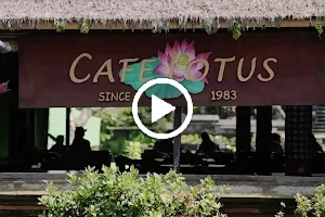 Cafe Lotus image