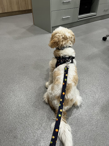 Evergreen Animal Hospital image