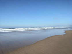 Tillamook County Beach'in fotoğrafı doğal alan içinde bulunmaktadır
