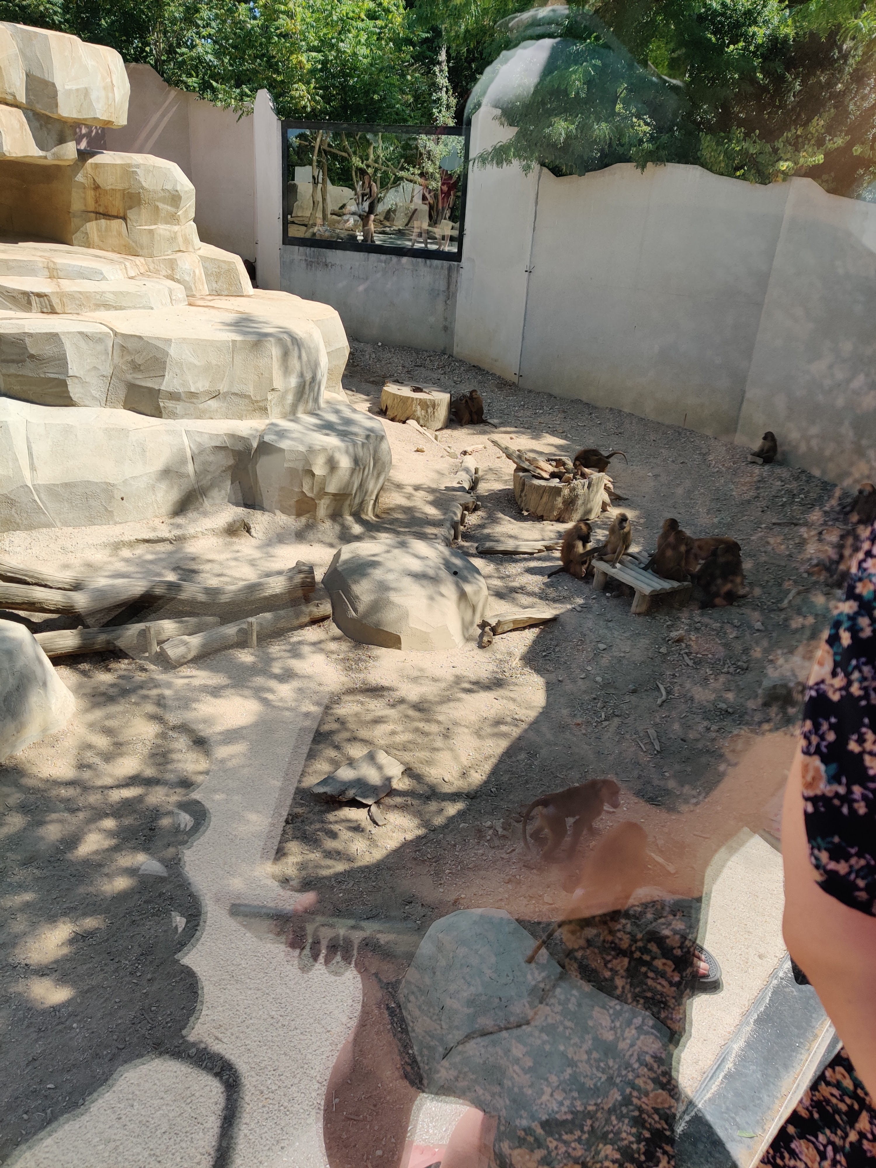 Photo n° 4 de l'avis de Francine.o fait le 18/09/2018 à 11:56