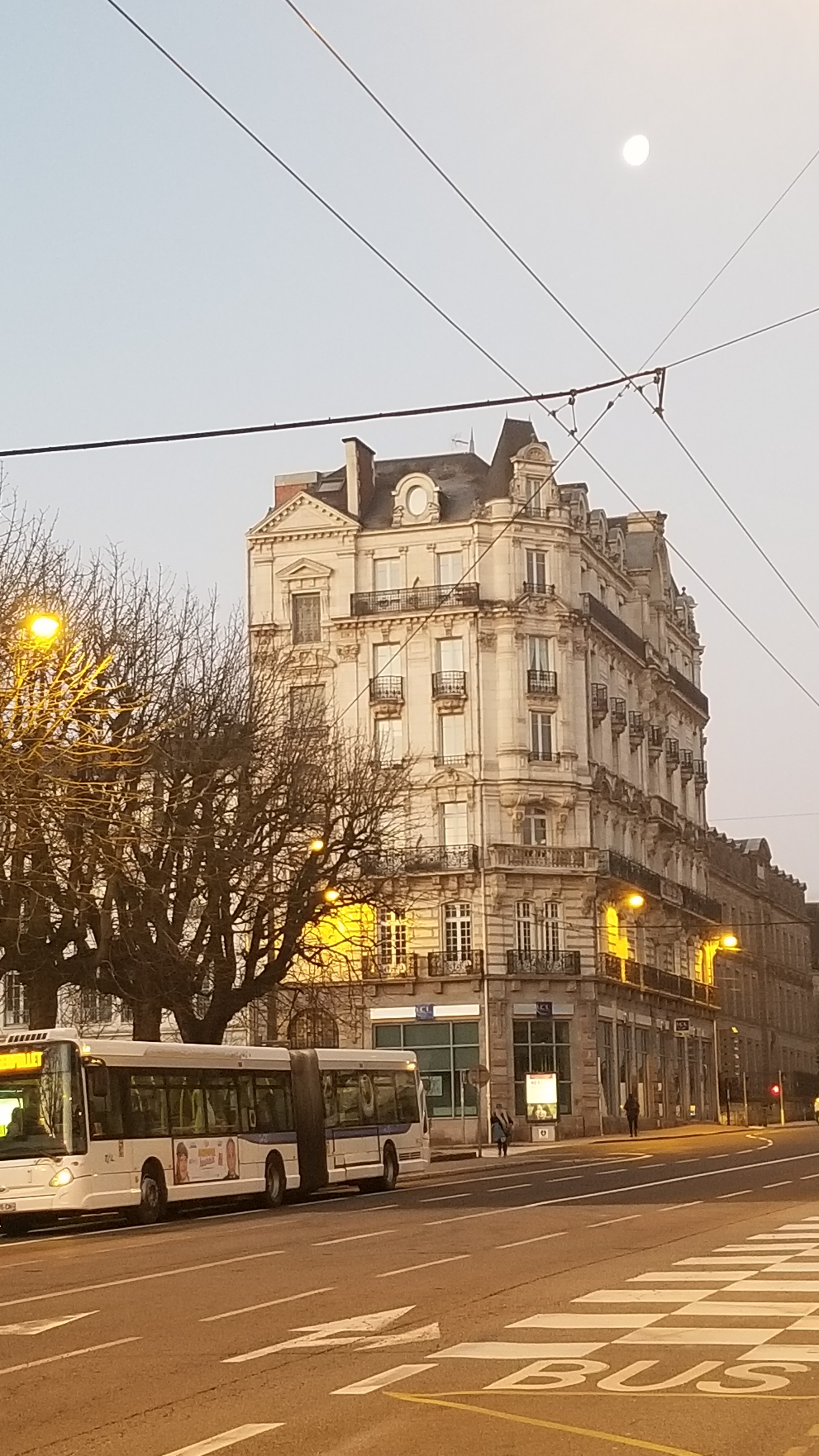 Photo n° 5 de l'avis de Fernand.e fait le 13/02/2023 à 08:05