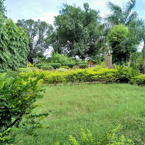 Vivekanand Childrens Park photo