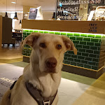 Photo n°1 de l'avis de Angelika.. fait le 09/04/2023 à 15:08 sur le  Weinhotel Freylich Zahn à Freyburg