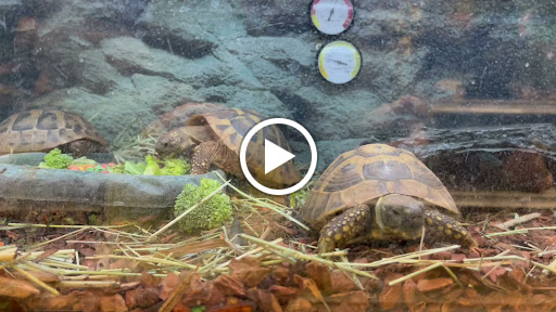 Pet Supply Store «Petco Animal Supplies», reviews and photos, 3860 Elmore Avenue, Davenport, IA 52807, USA