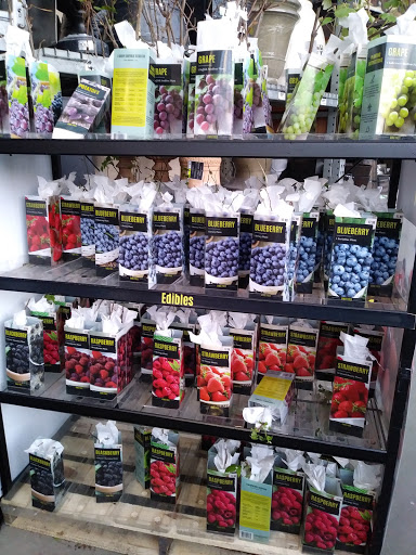 Home Improvement Store «The Home Depot», reviews and photos, 145 Depot Dr, Hiram, GA 30141, USA