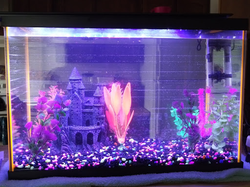 Pet Store «Fin-N-Feather», reviews and photos, 2931 F St, Eureka, CA 95501, USA