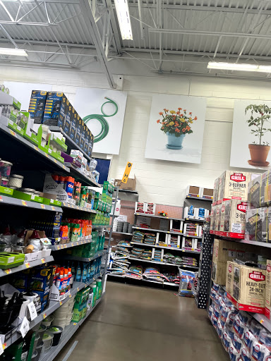 Department Store «Walmart Supercenter», reviews and photos, 100 E Street Rd, Warminster, PA 18974, USA