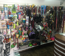 Animal Park hospital veterinario photo
