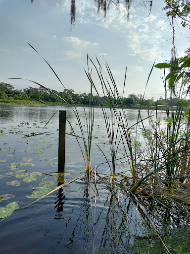 Park «Lake Park», reviews and photos, 17302 N Dale Mabry Hwy, Lutz, FL 33548, USA